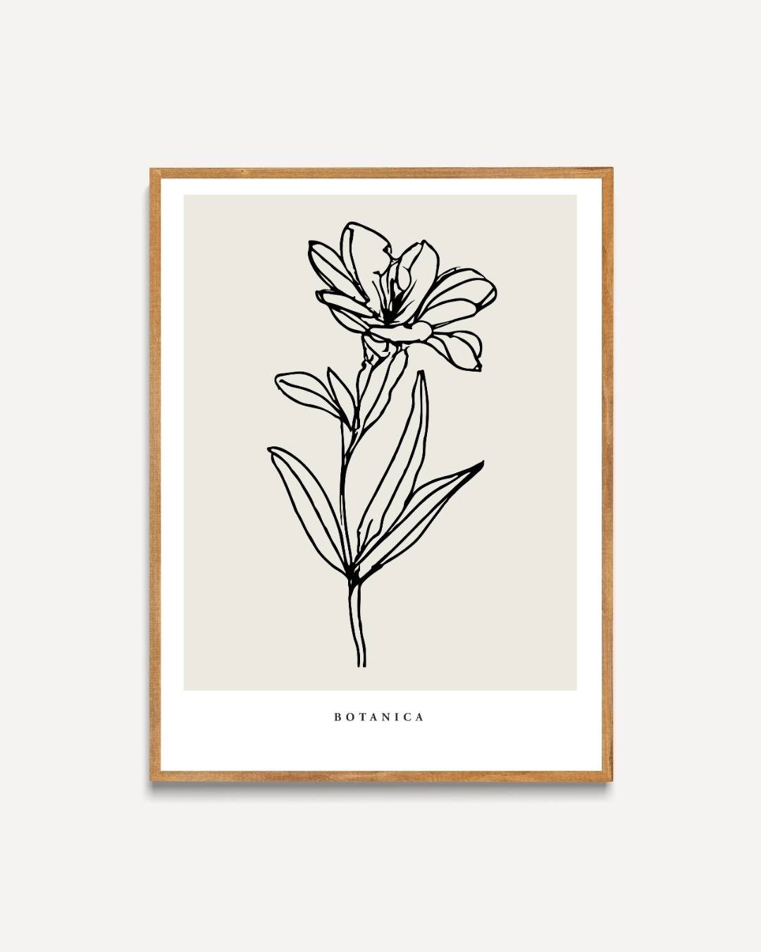 Klassieke bloem lijntekening Poster