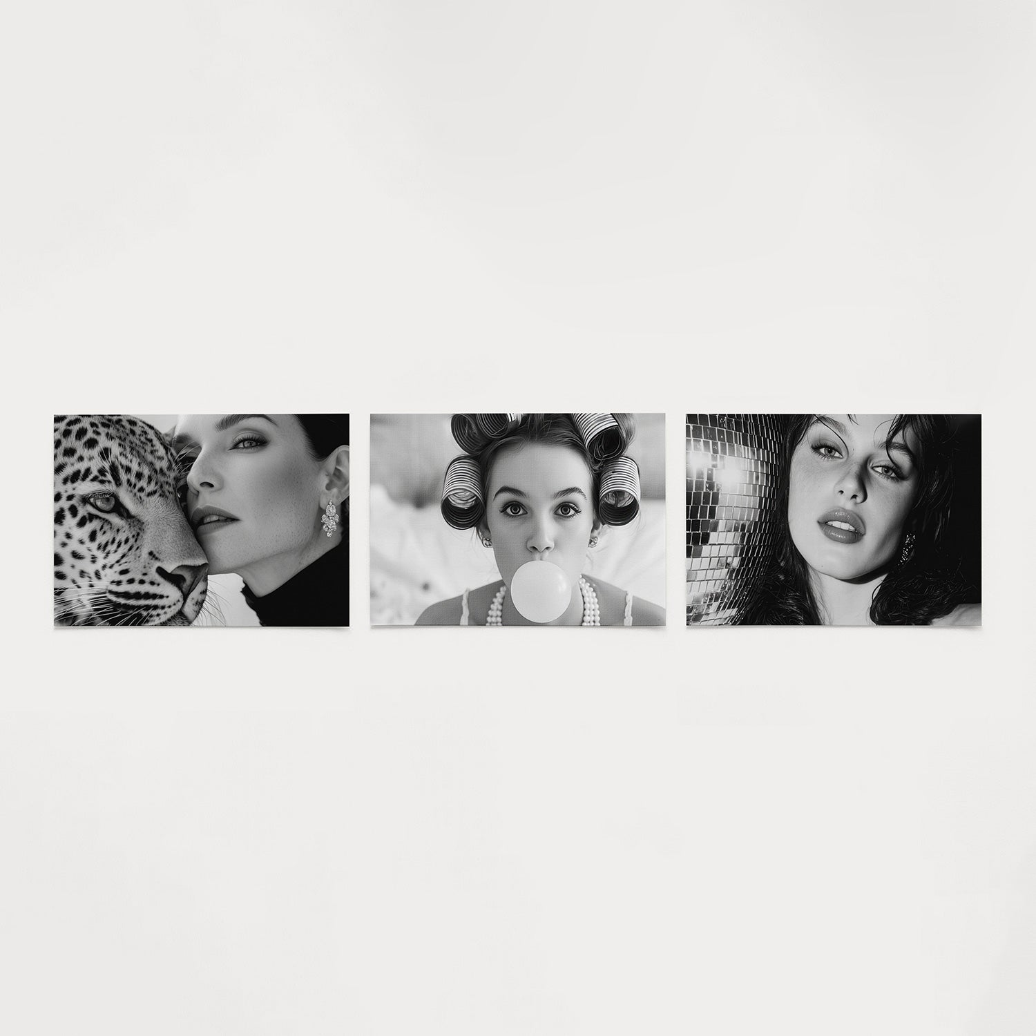 Dierlijke harmonie Posterset
