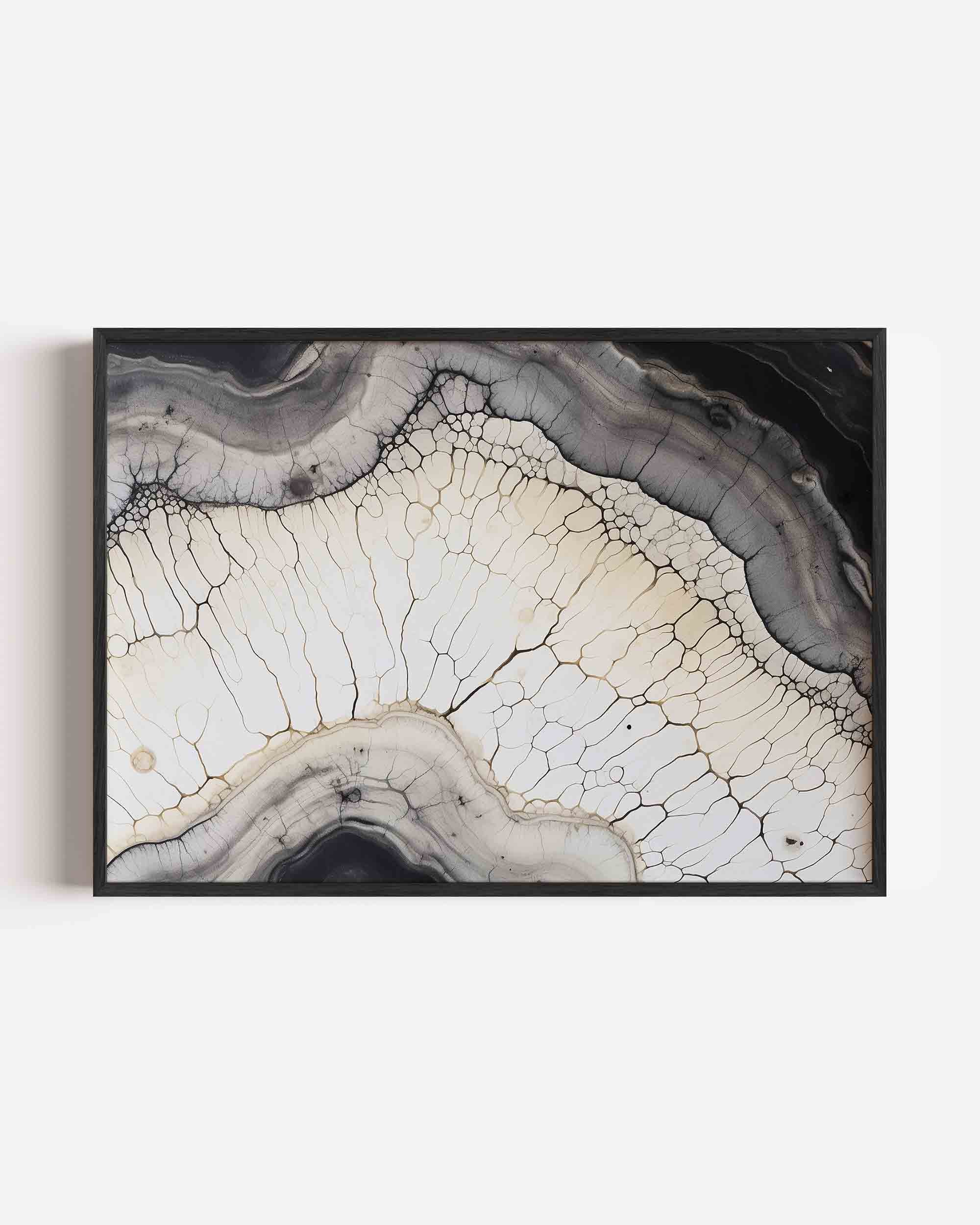 Abstracte lijnen Poster