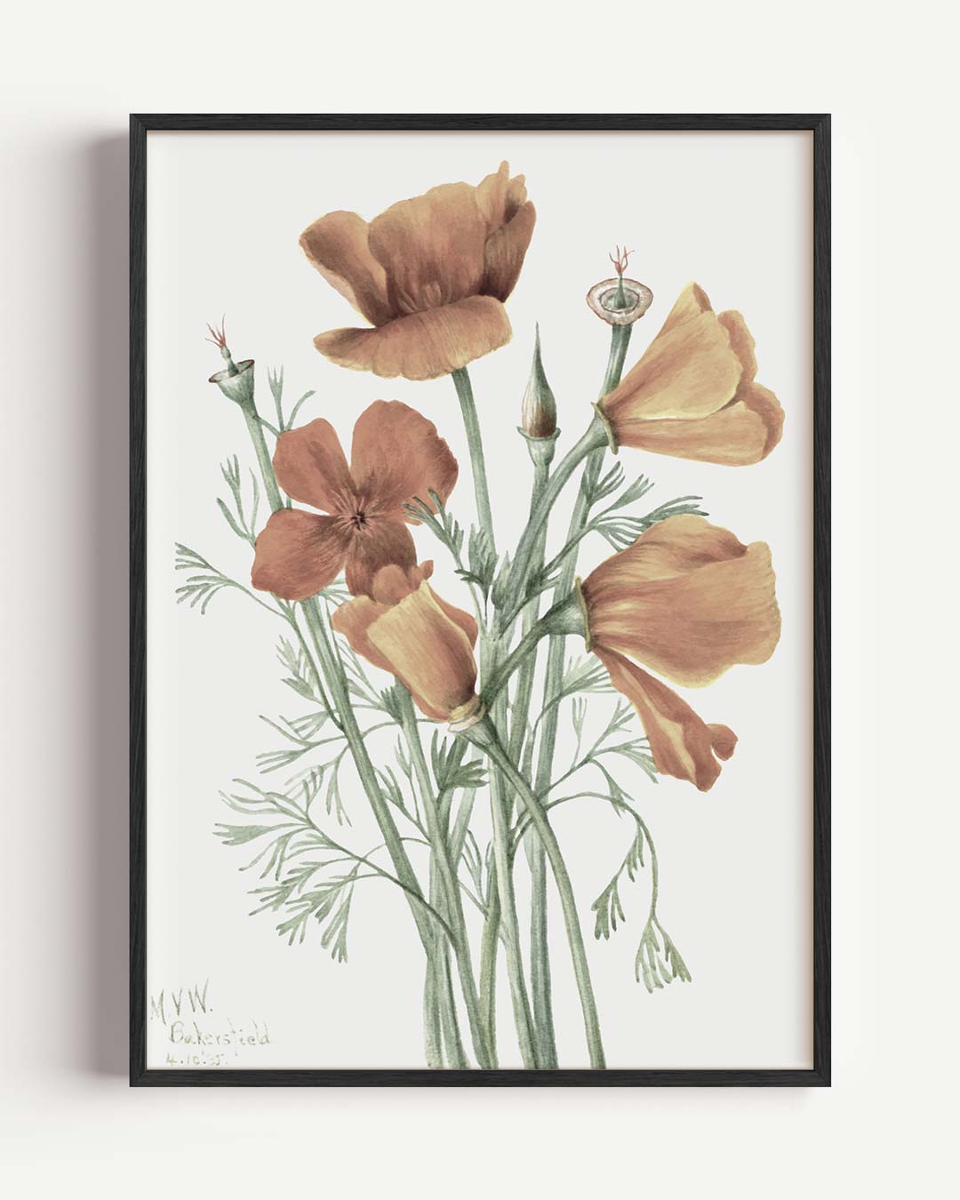 Bloemige Veldschoonheid Poster-WallArtistic