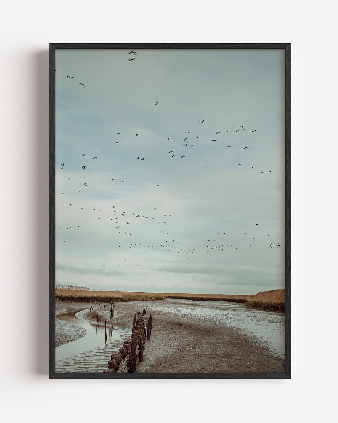 Vogels boven landschap Poster