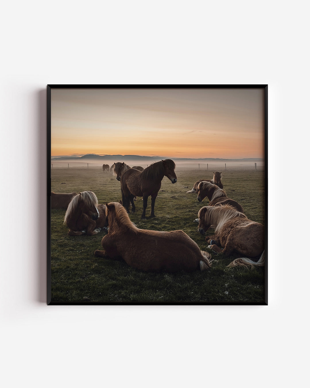 Rustige paardenweide Poster