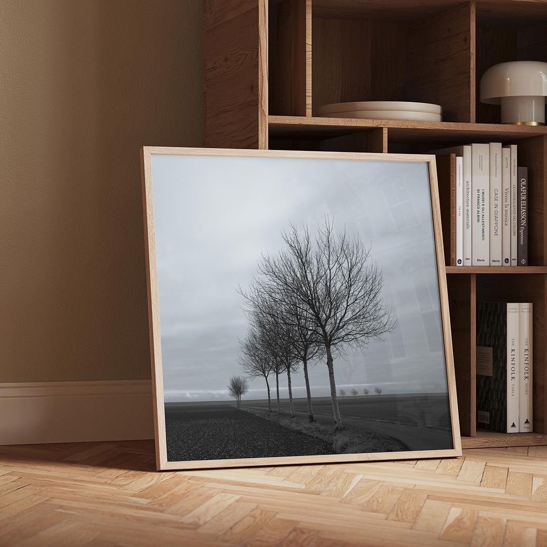 Landschap met bomen Poster