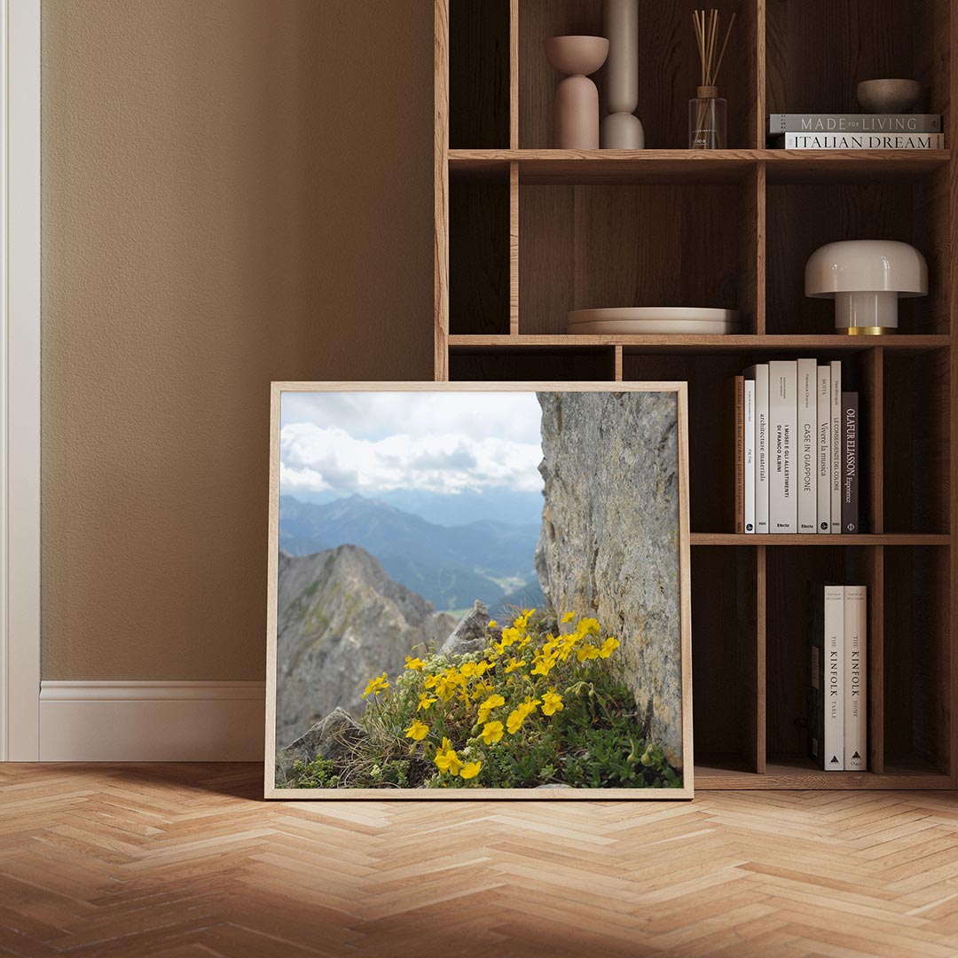 Bergbloemen en rotsen Poster