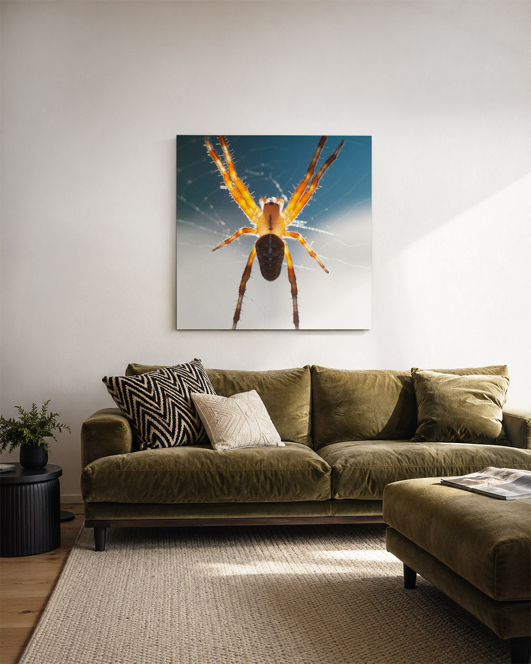 Spin in web Kunstwerk