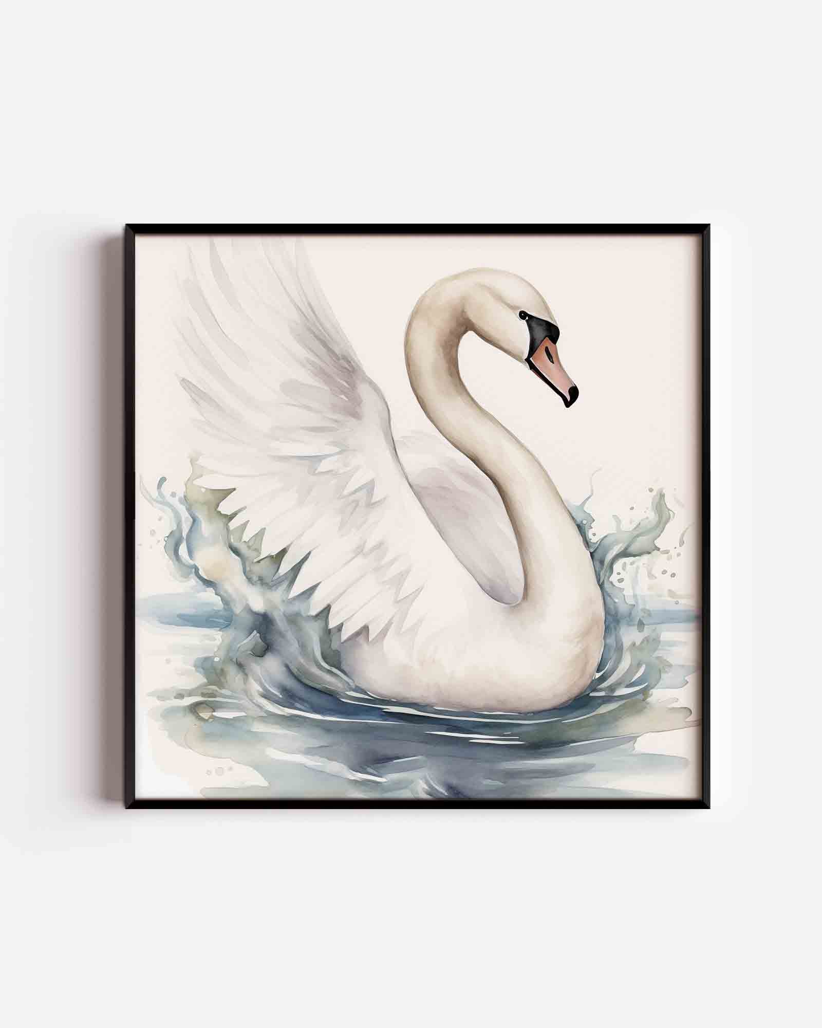 Zwaan op water Poster