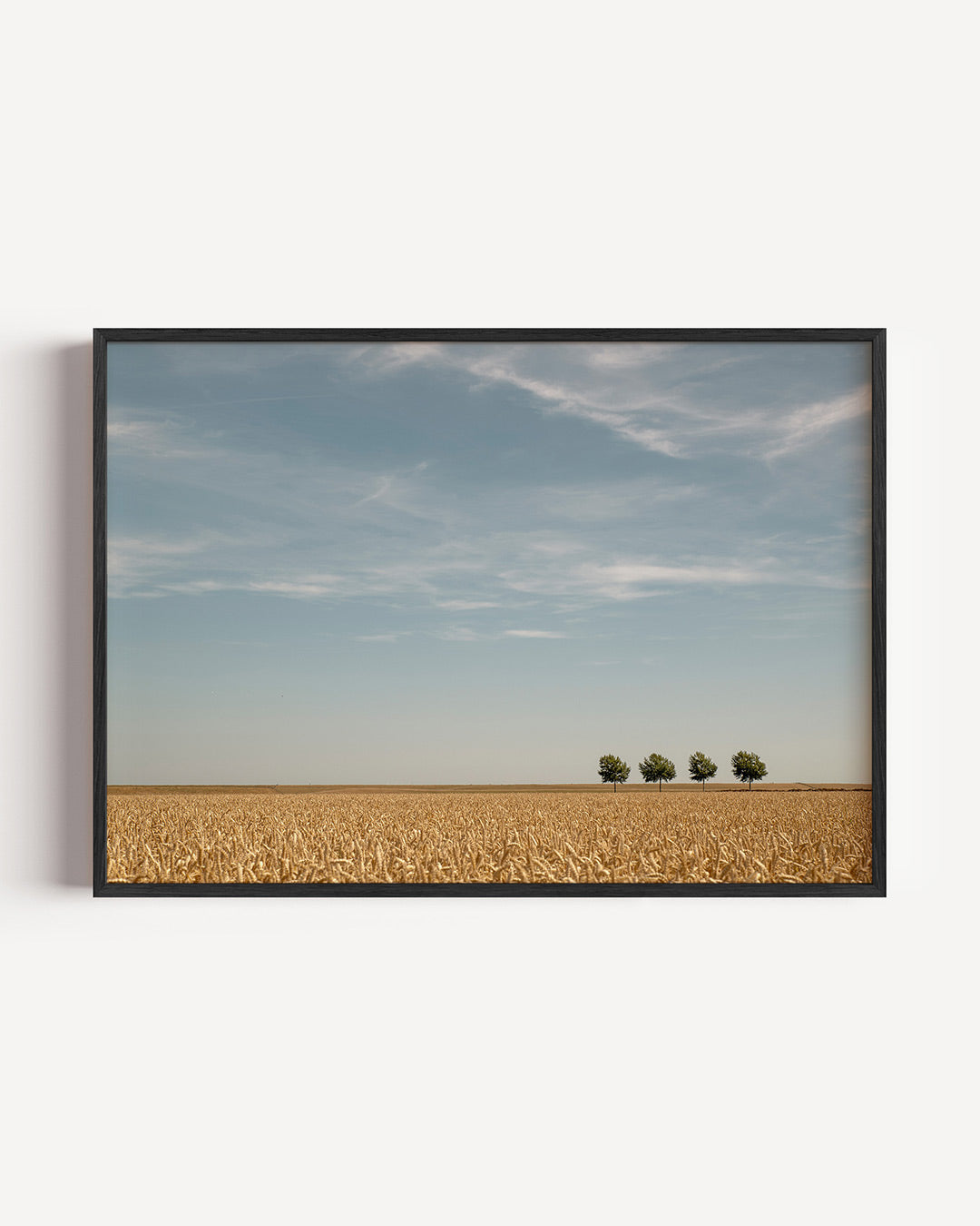 Rustige landschap Poster
