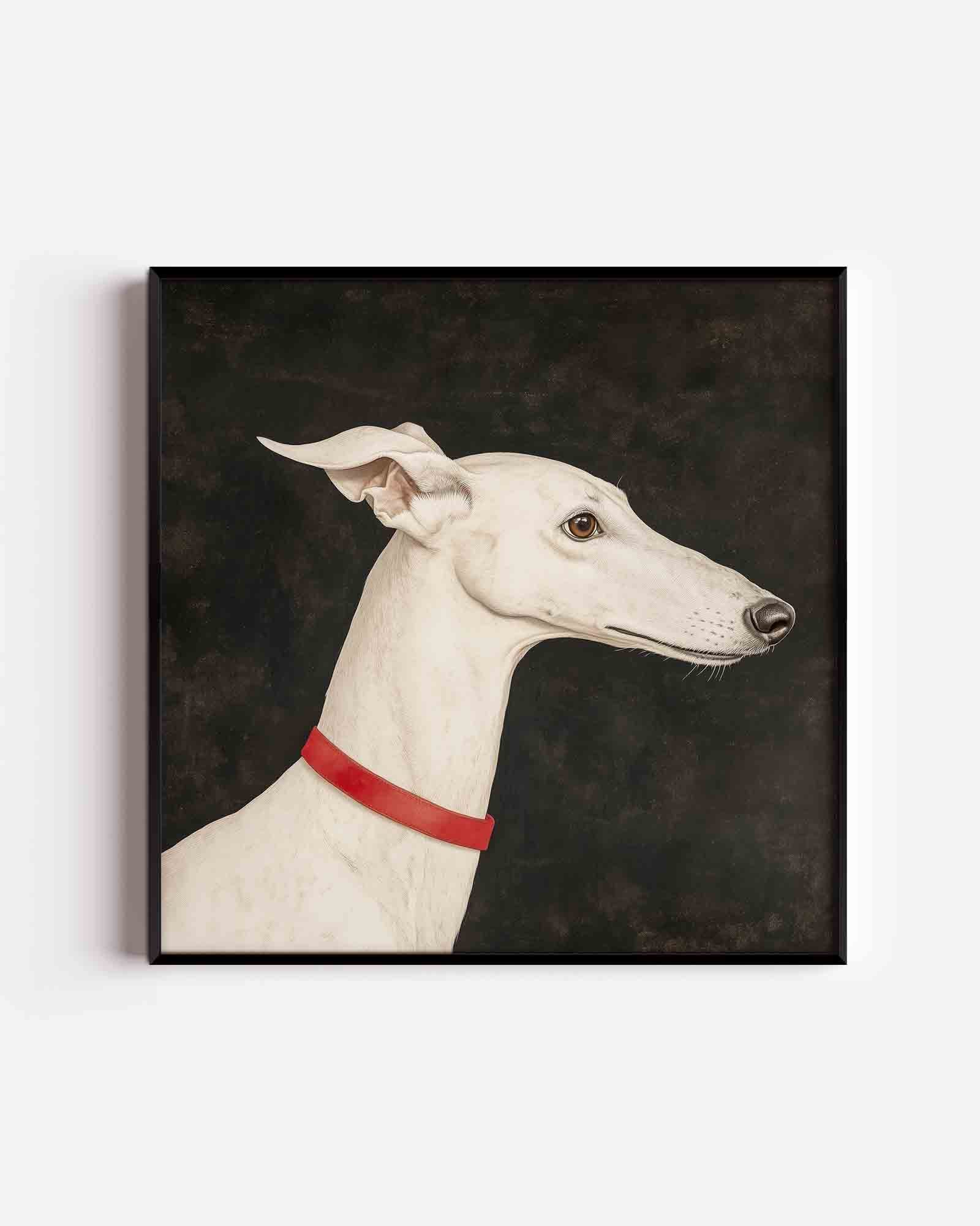 Witte windhond Poster
