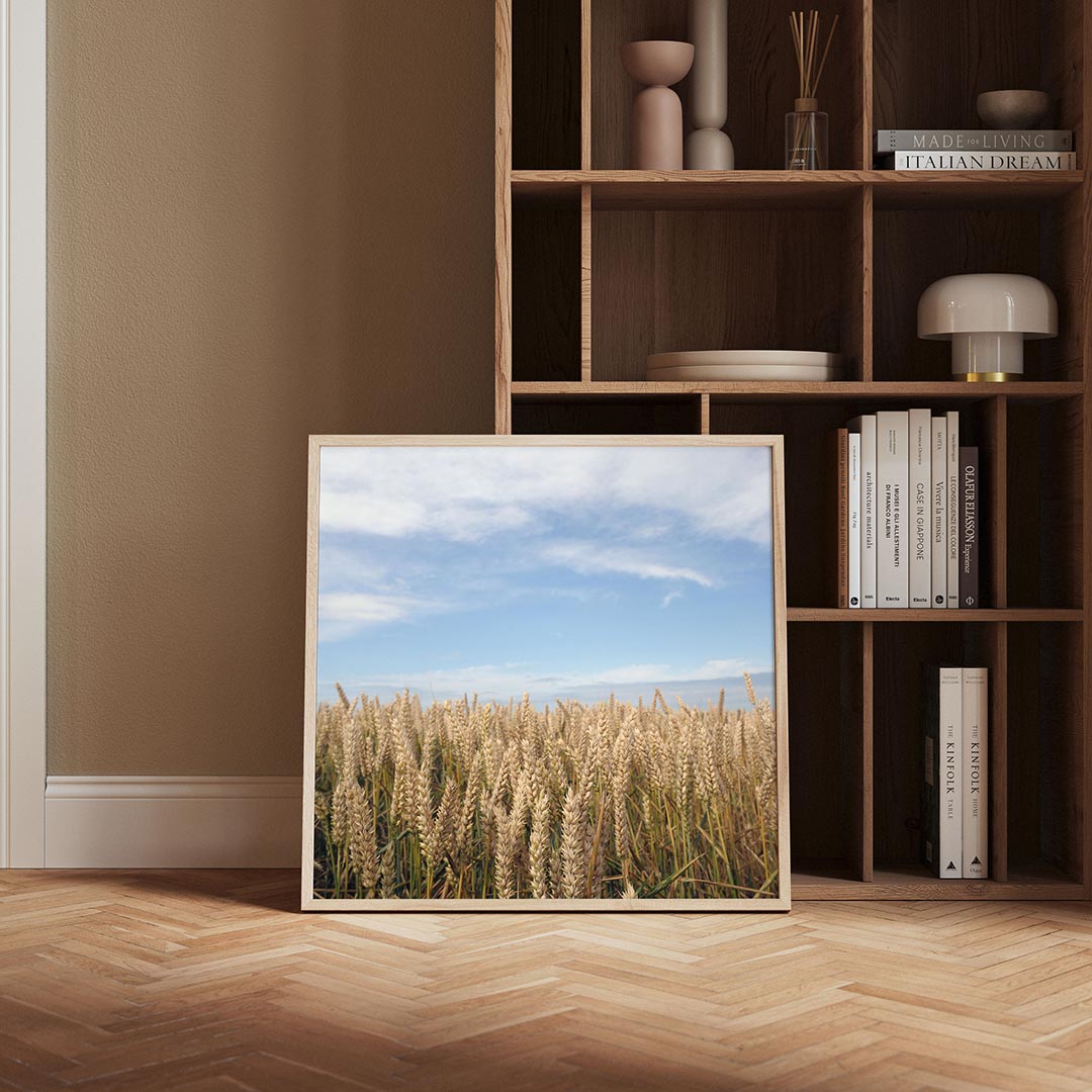 Gouden tarweveld Poster