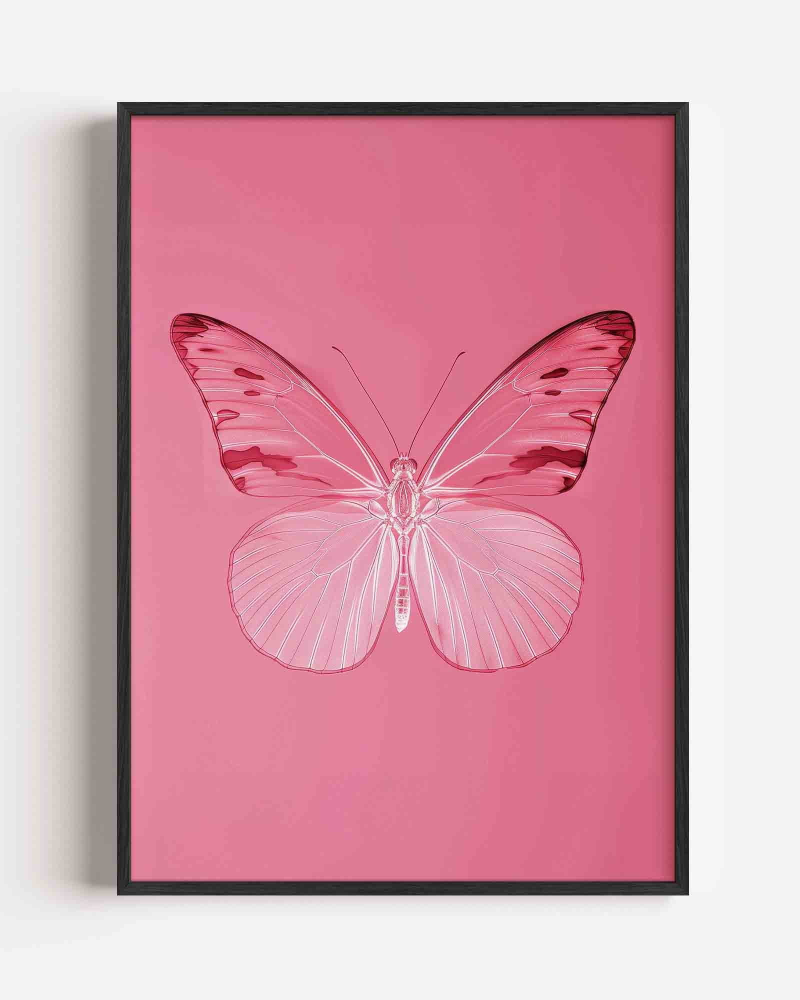 Vlinder op roze Poster