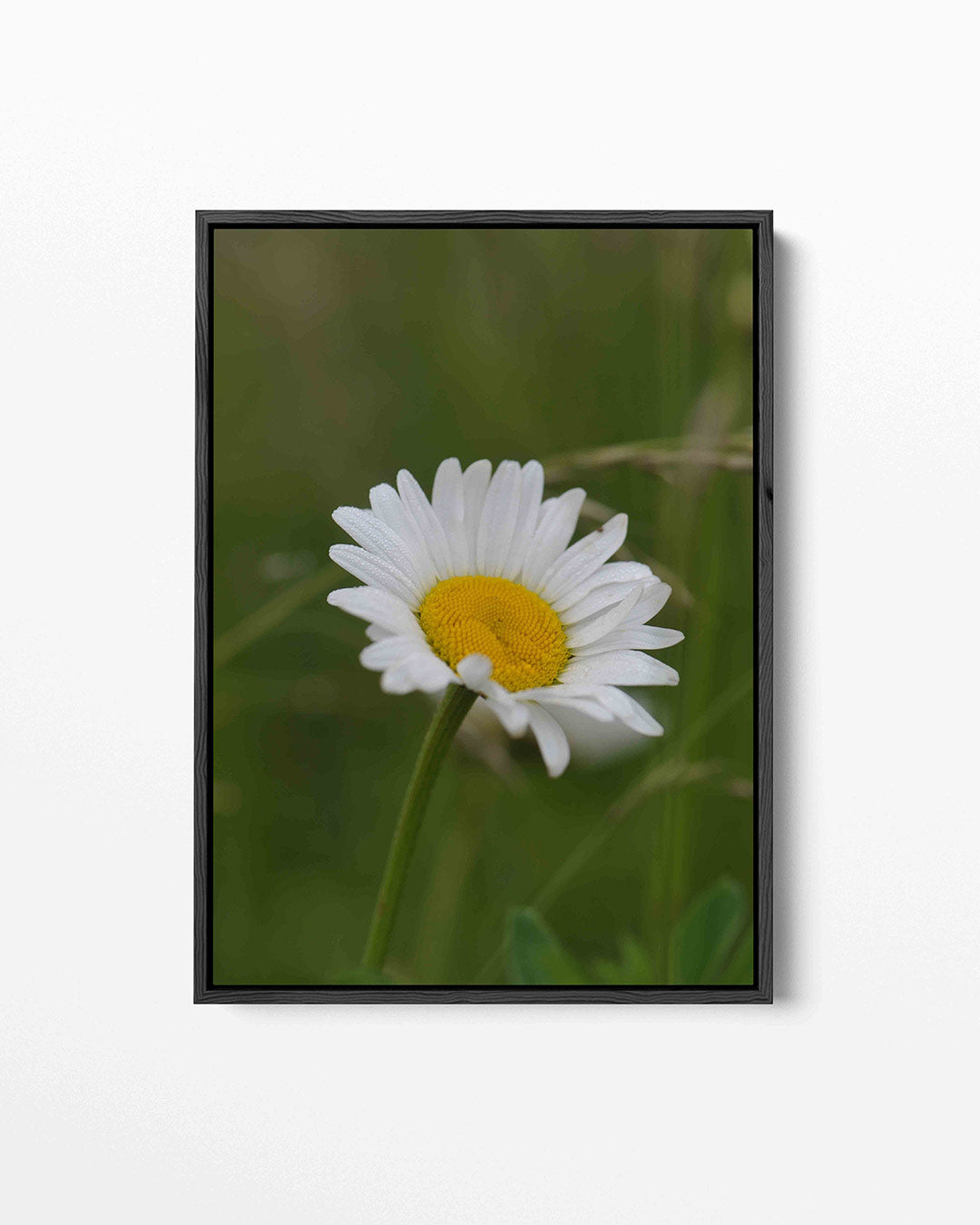 Bloem in natuur Kunstwerk