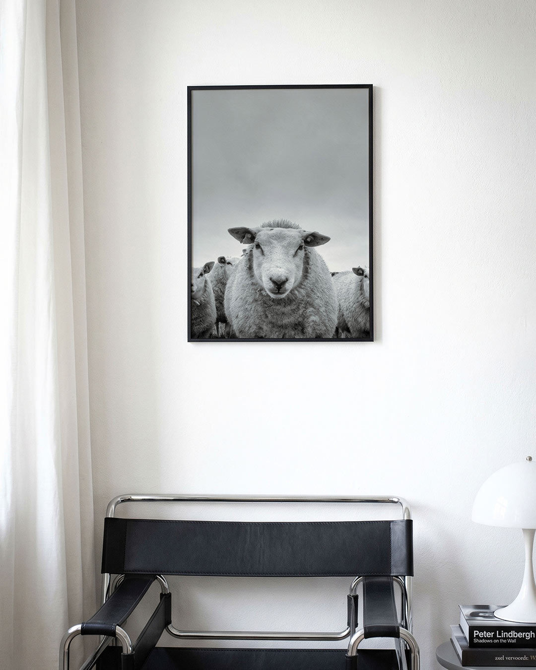 Schaap close up Poster