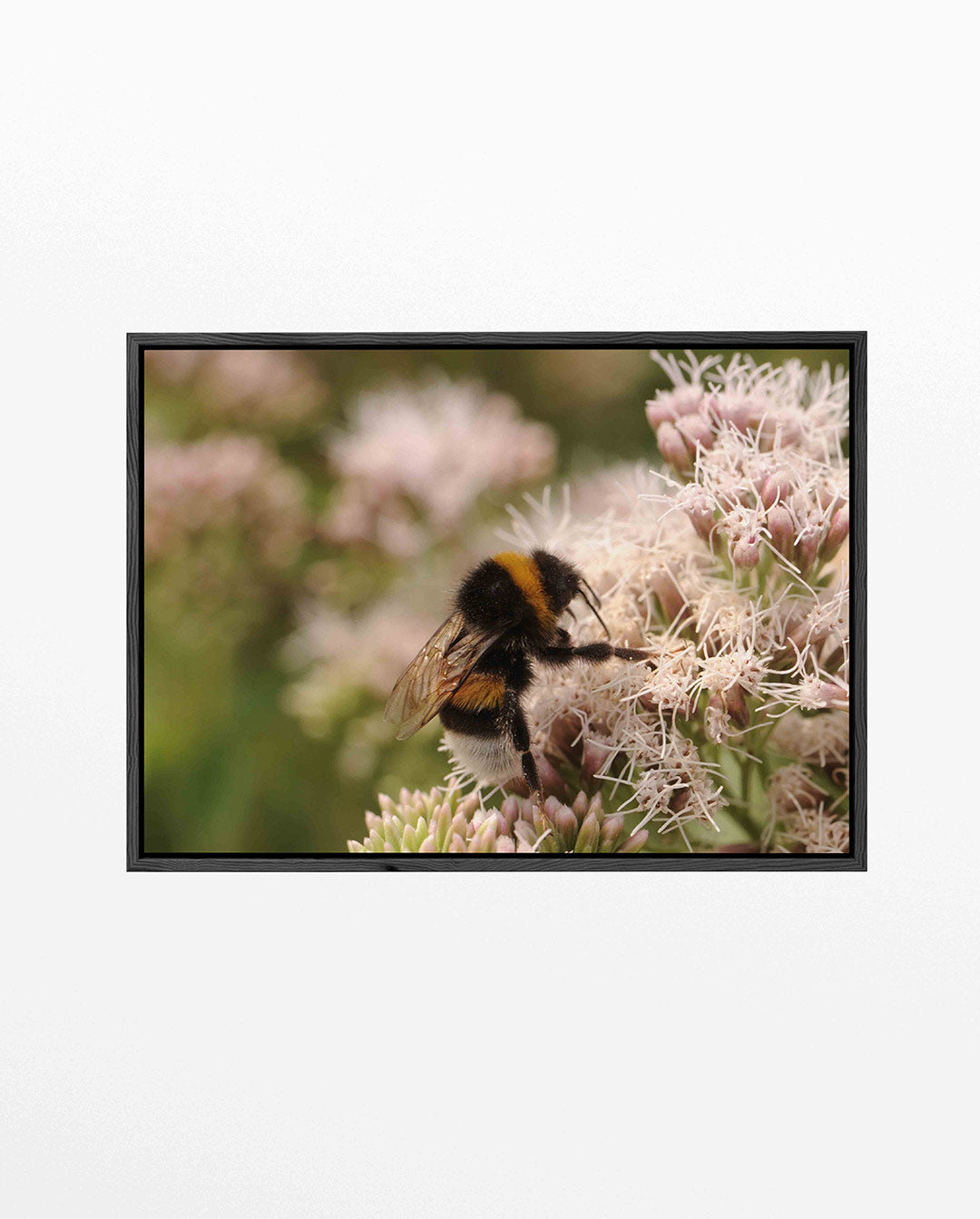 Bij op bloemen Kunstwerk