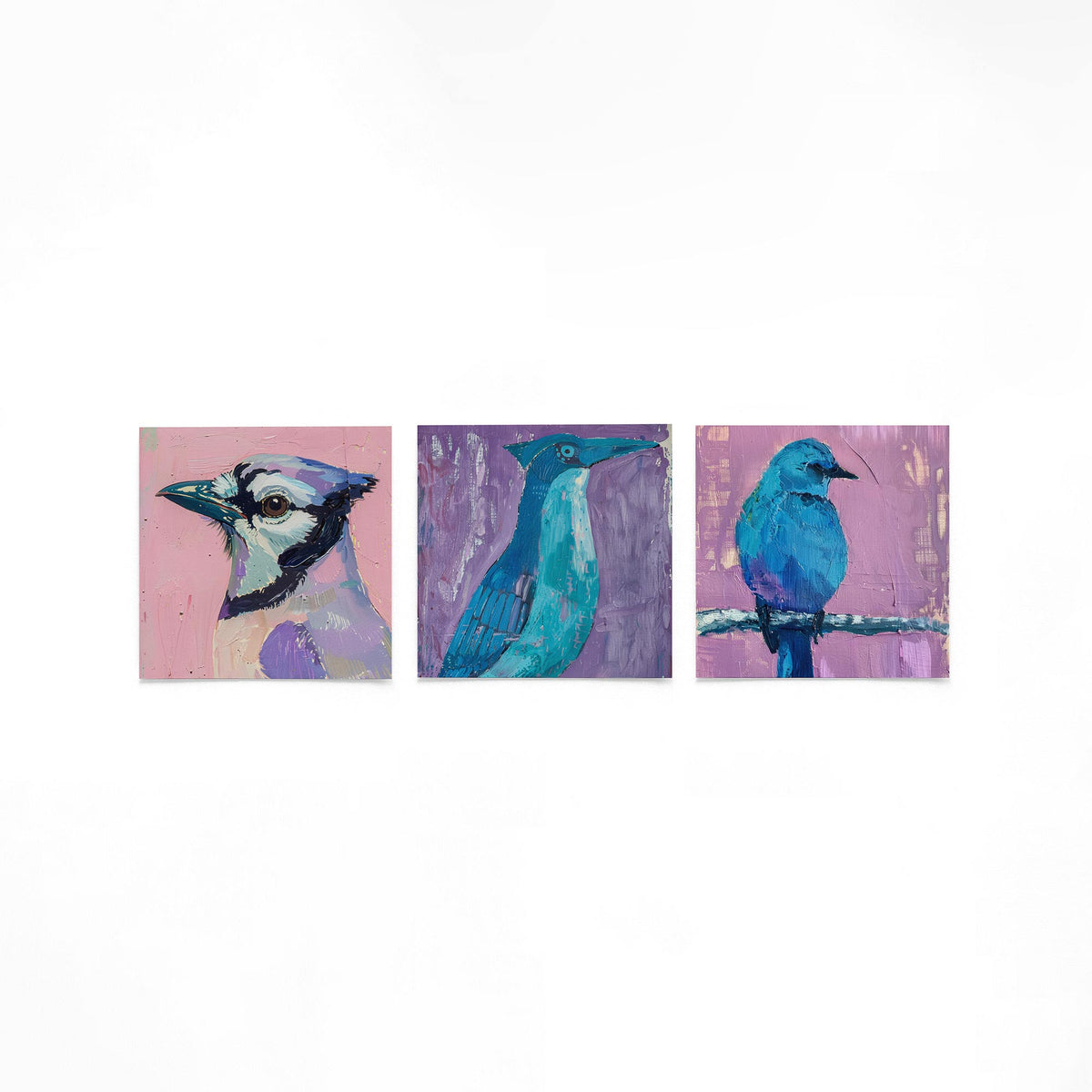 Drie vierkante posters met kleurrijke vogels op een gebroken witte achtergrond