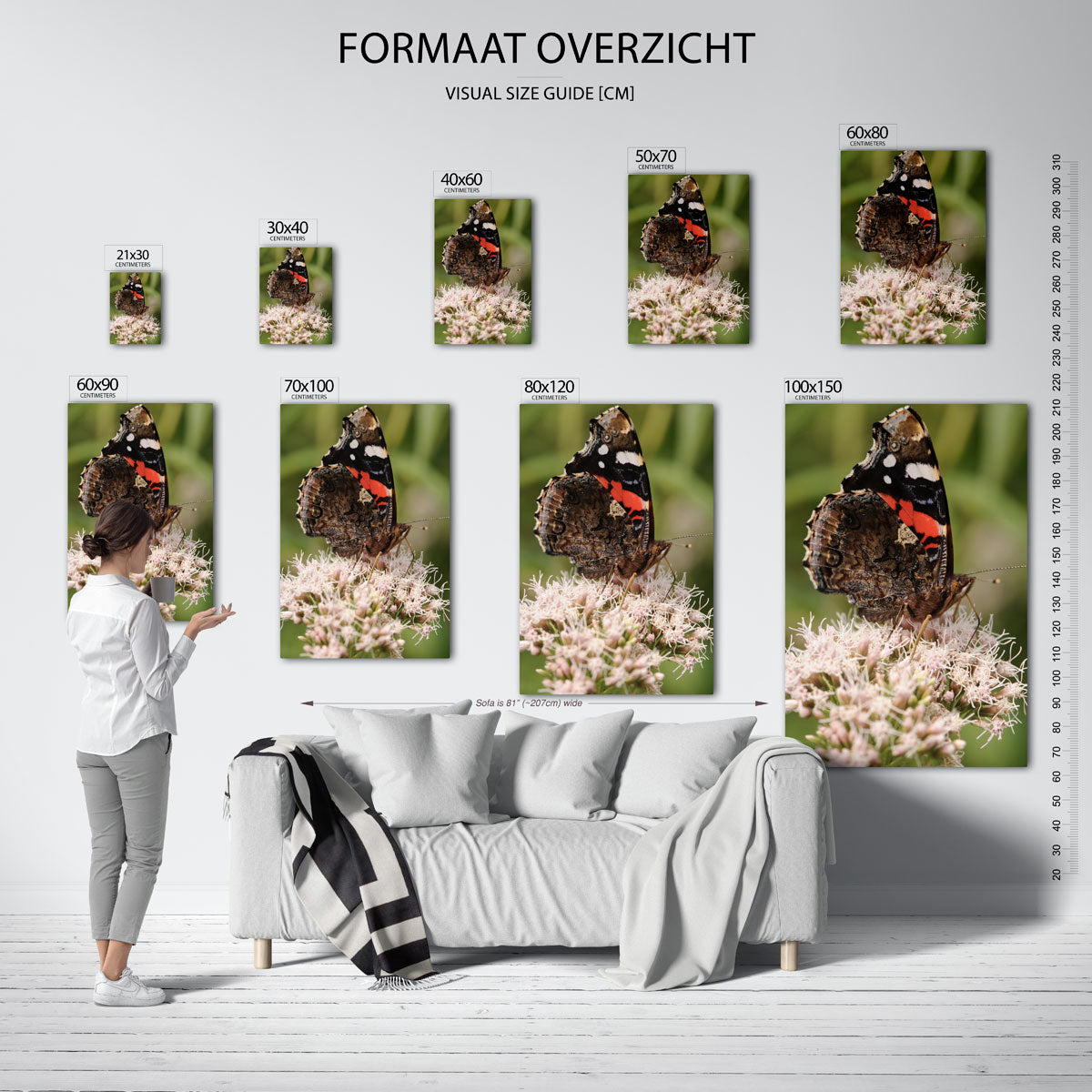 Vlinder op bloem Poster