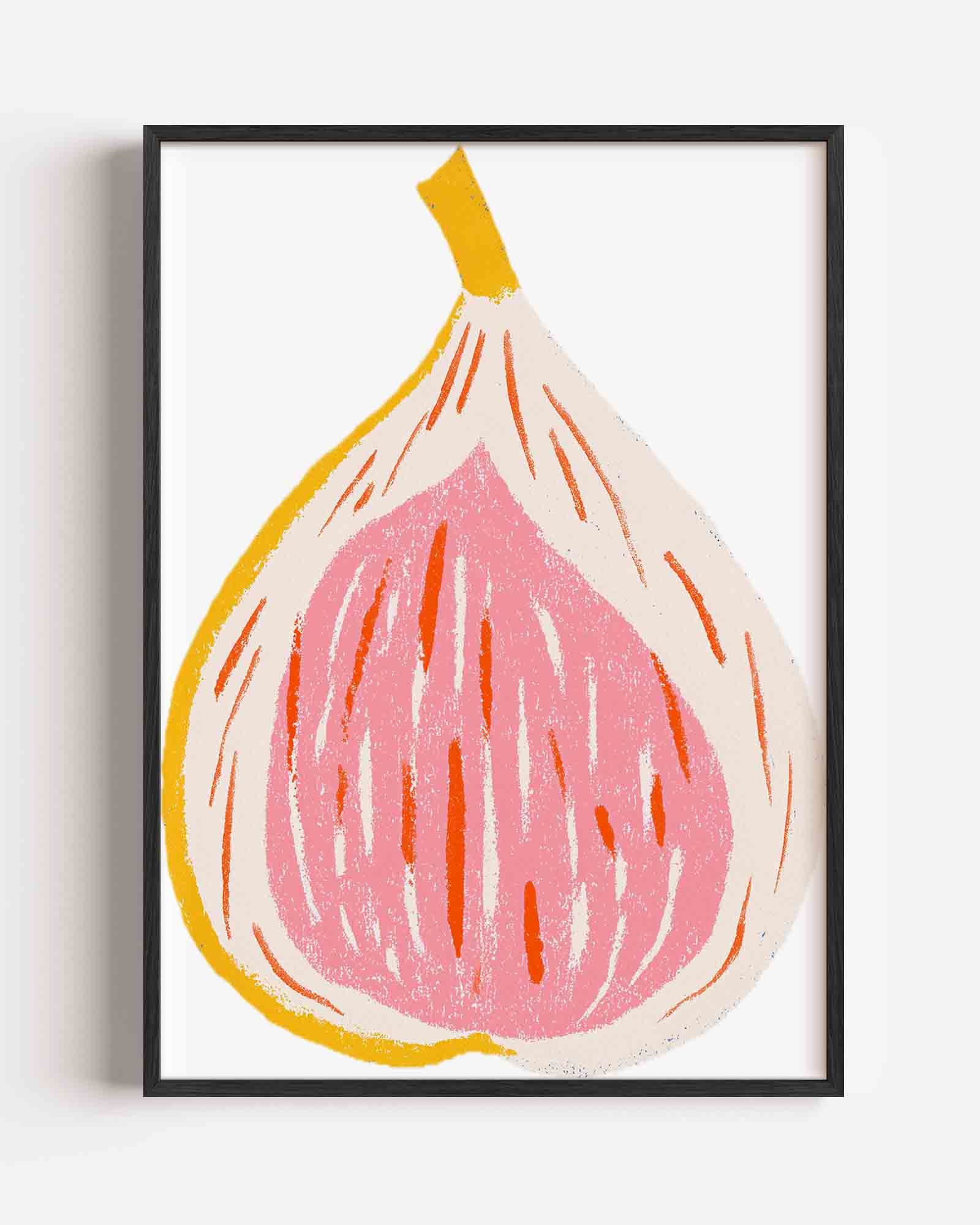 Vijg illustratie Poster