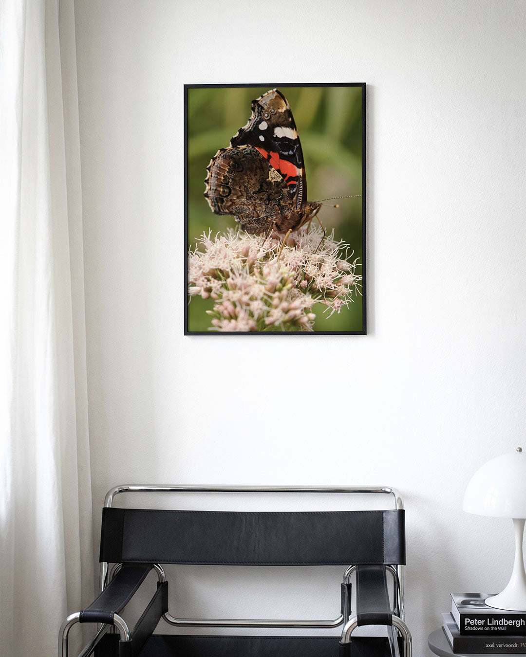 Vlinder op bloem Poster