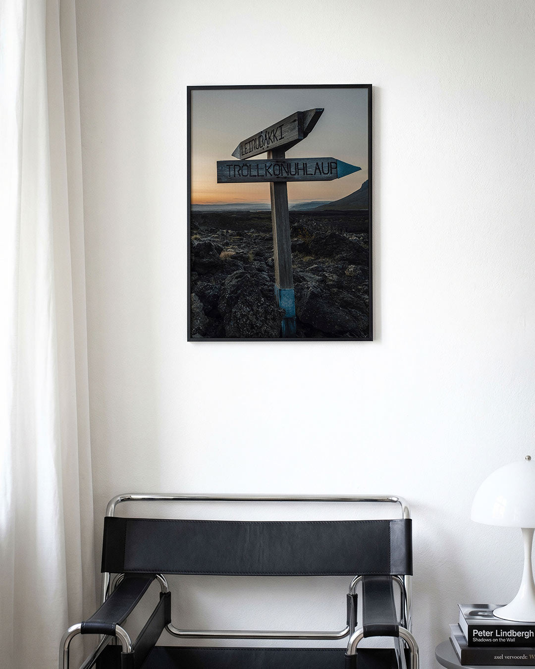 Wegwijzer in landschap Poster