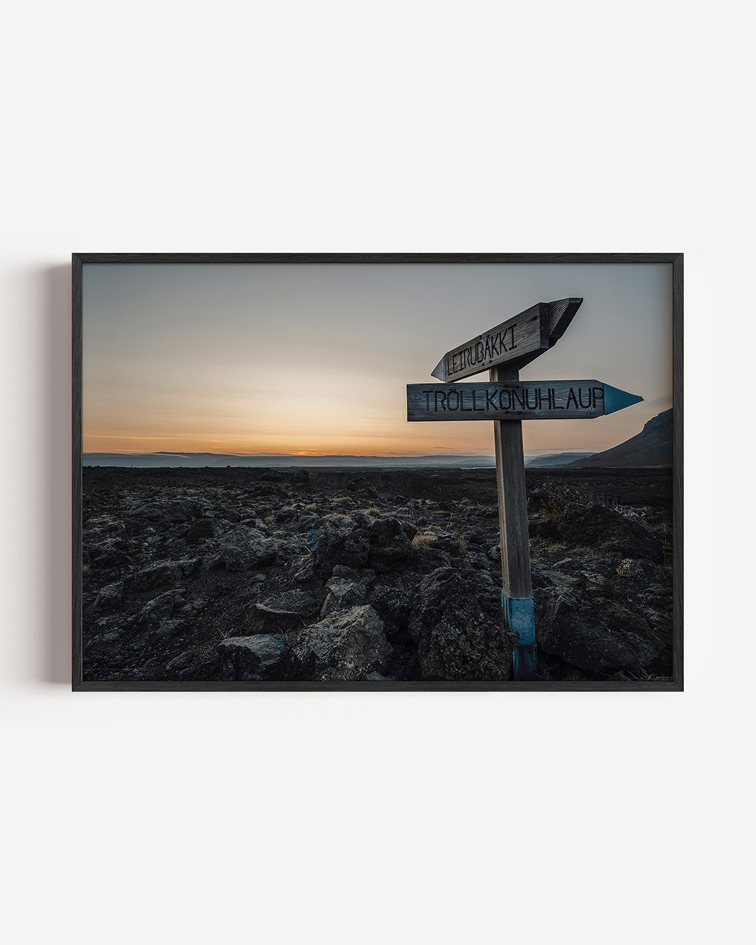 Landschap met wegwijzer Poster