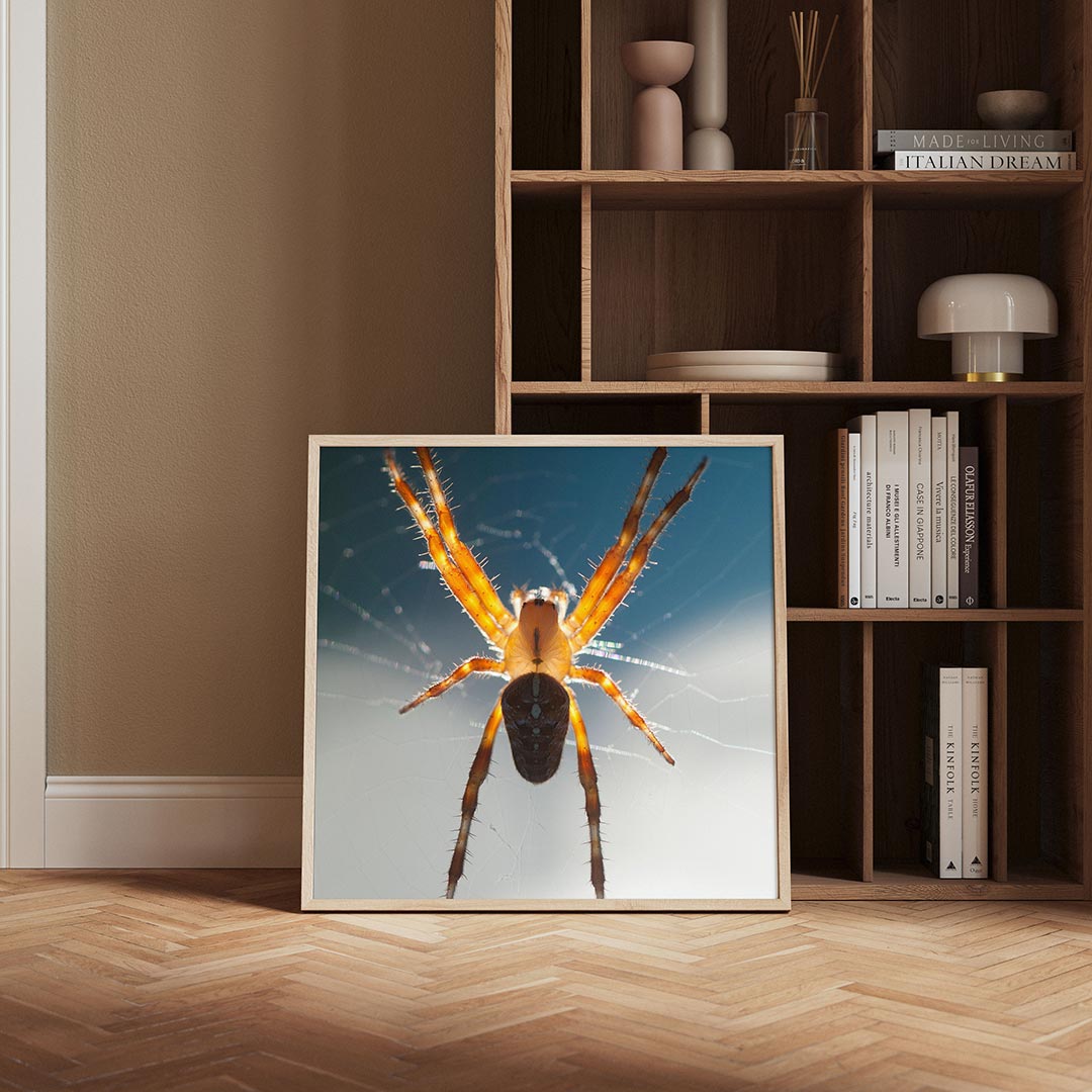 Spin in web Poster