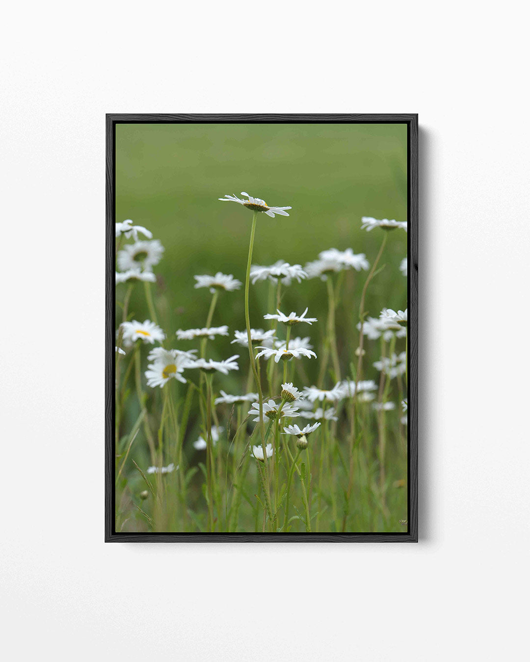 Bloemen in weide Kunstwerk