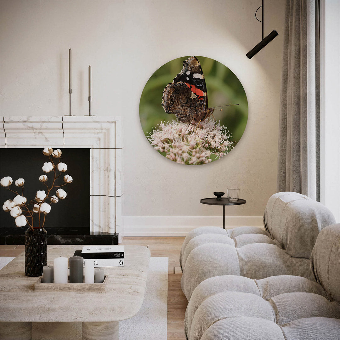 Vlinder op bloem Muurcirkel