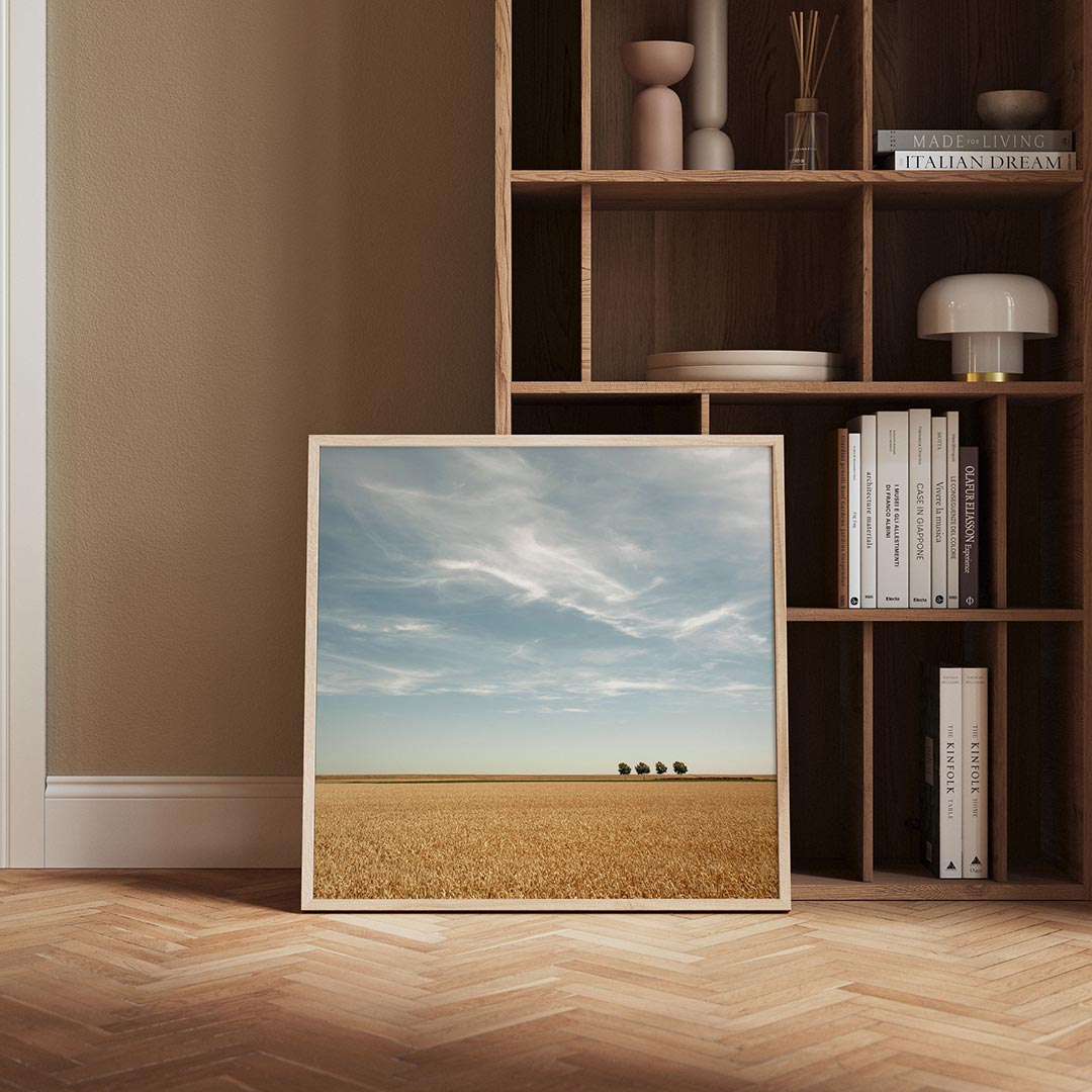 Rustige landschap Poster
