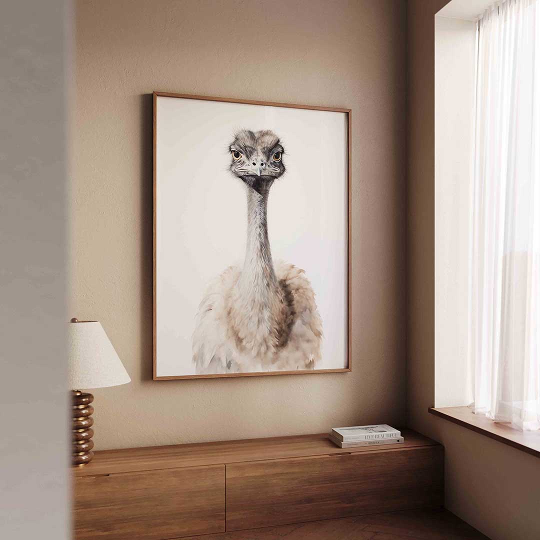 Struisvogel portret Poster