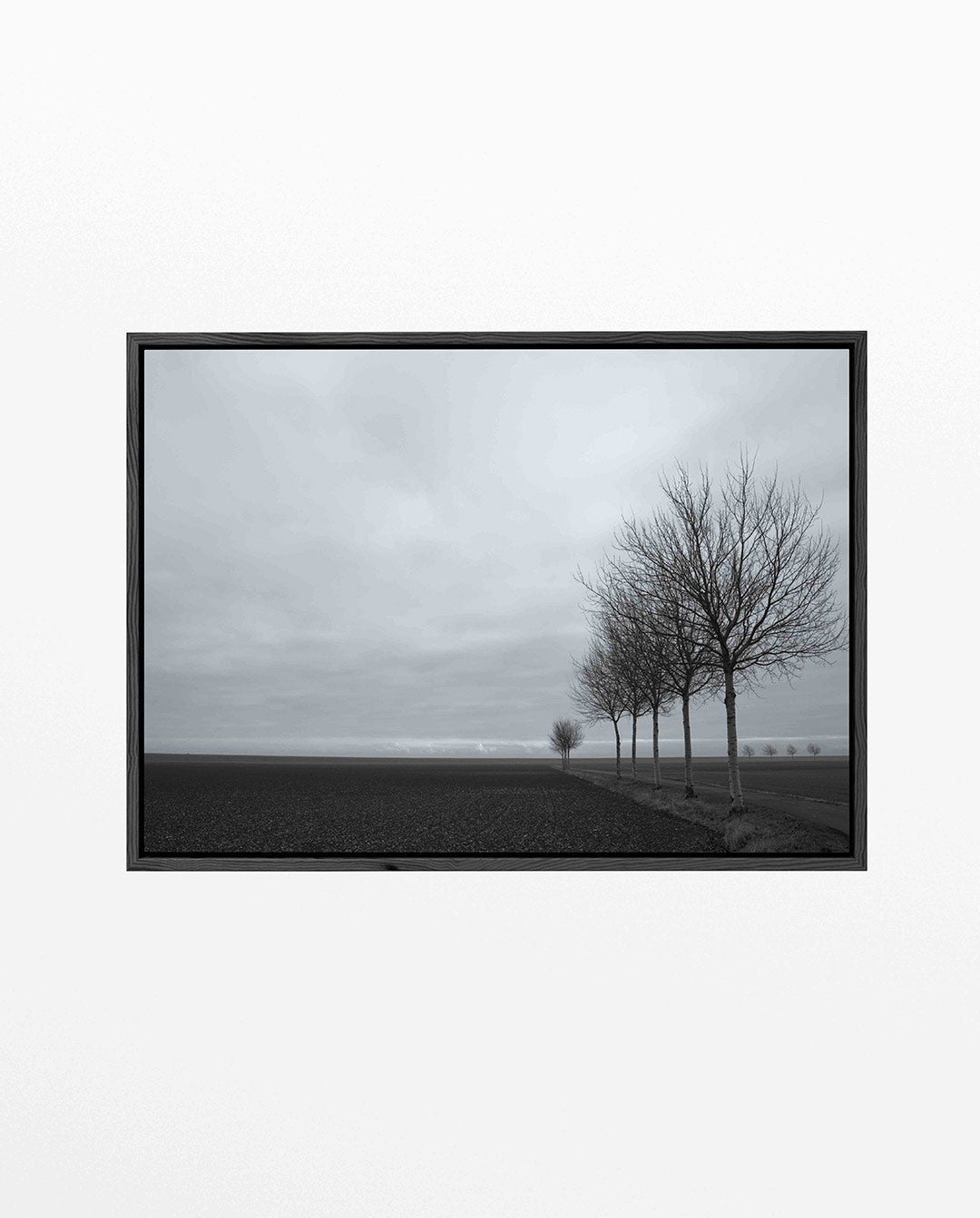 Landschap met bomenrij Kunstwerk