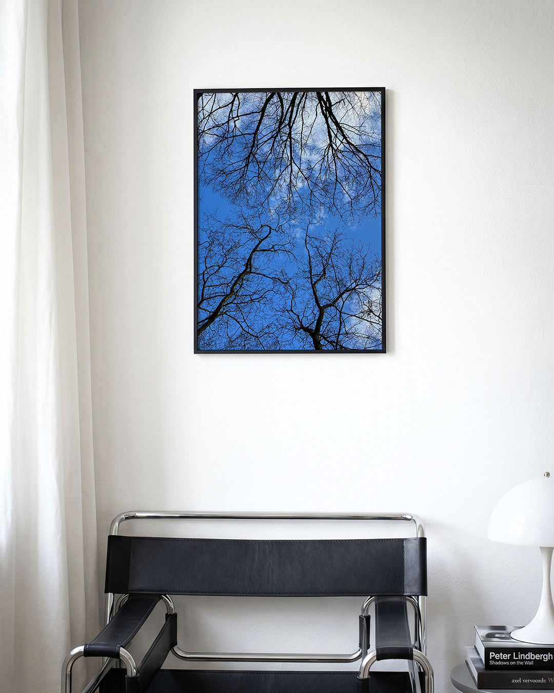 Boomtakken tegen lucht Poster