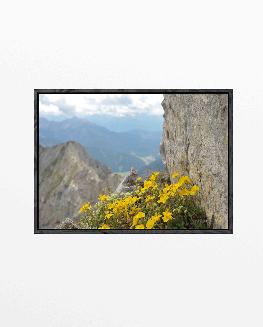 Bergbloemen en rotsen Kunstwerk