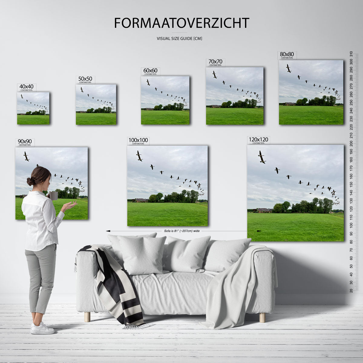 Vliegende vogels Poster