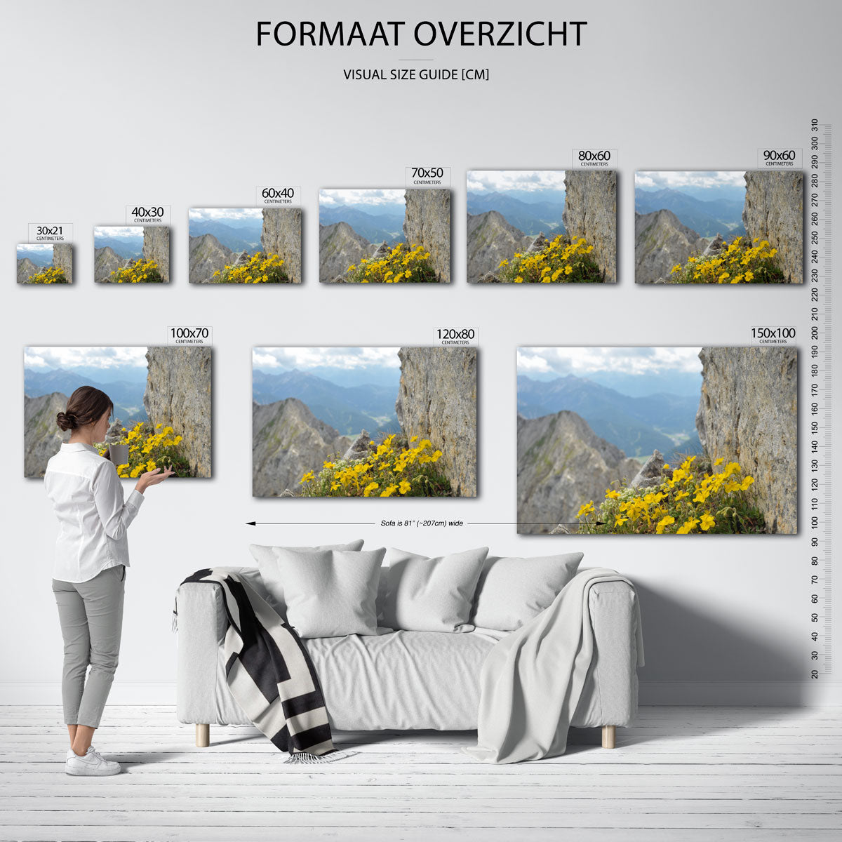 Bergbloemen en rotsen Poster