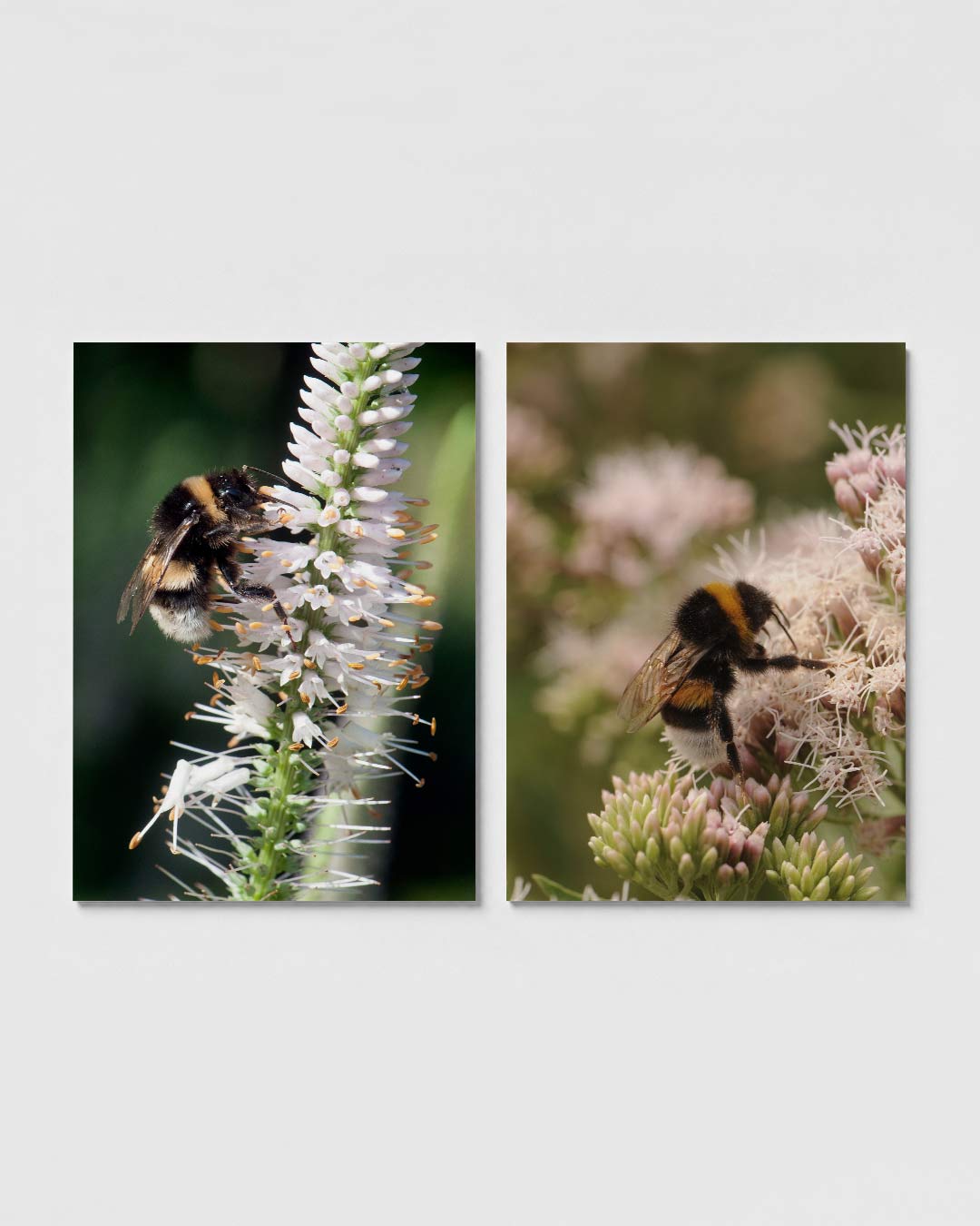 Natuurlijke harmonie Posterset