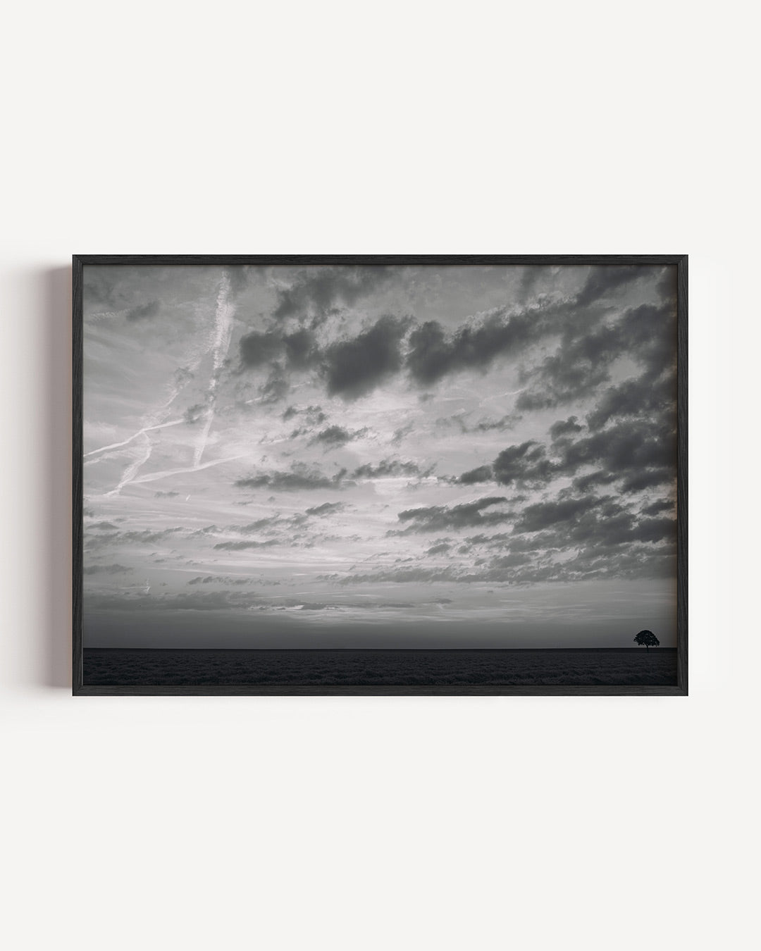 Eenzame boom landschap Poster