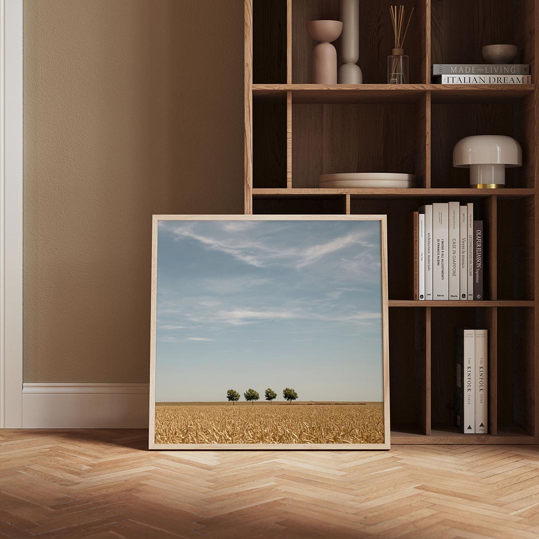 Rustige landschap Poster