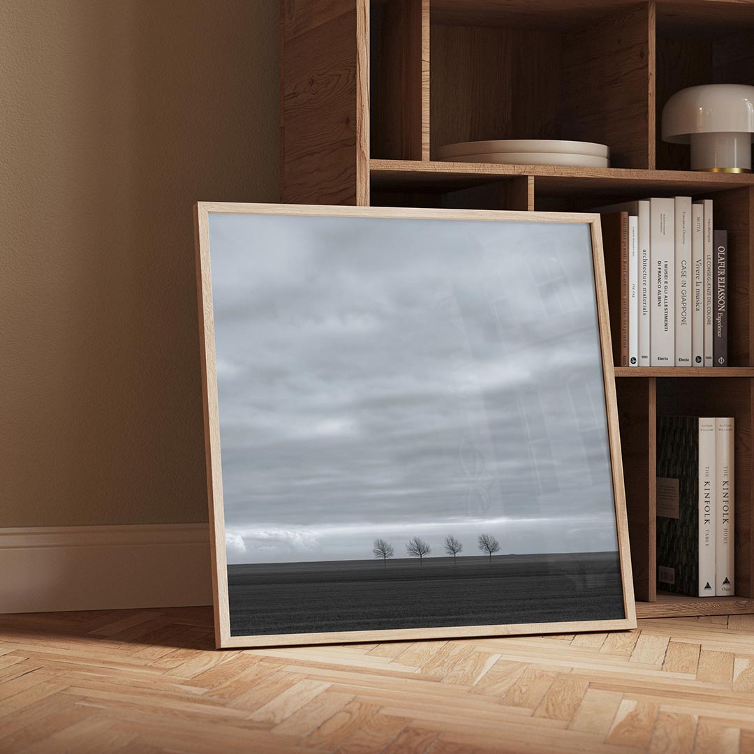 Rustige landschap Poster