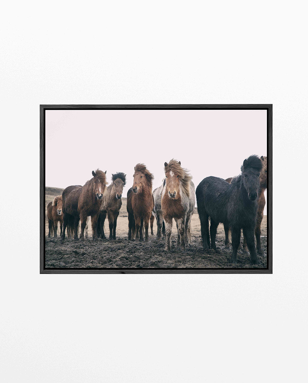 Groep paarden Kunstwerk