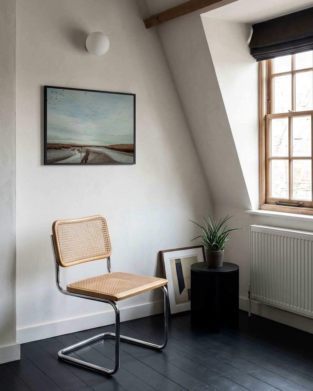 Vogels boven landschap Poster