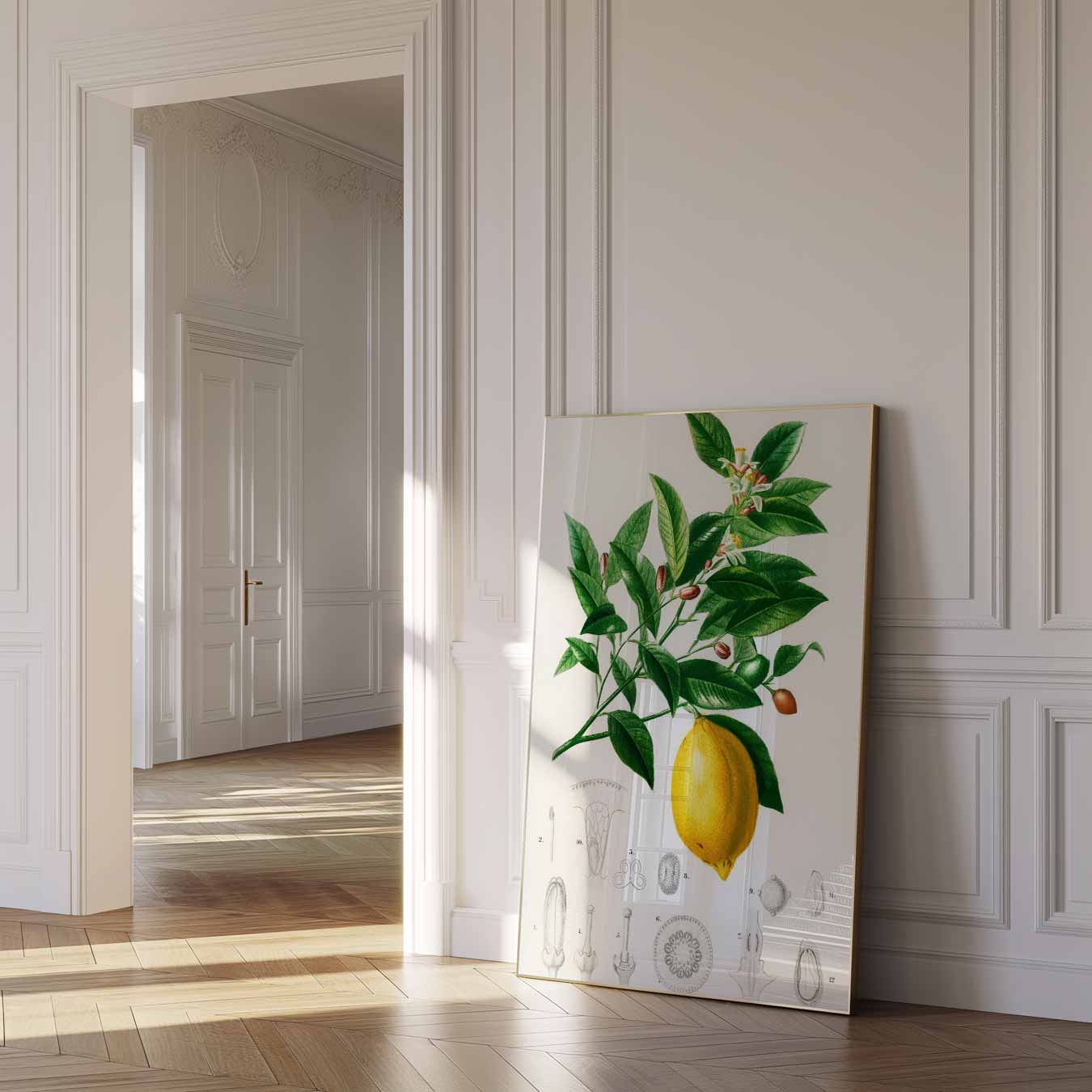 Botanische Citroen Illustratie Poster-WallArtistic