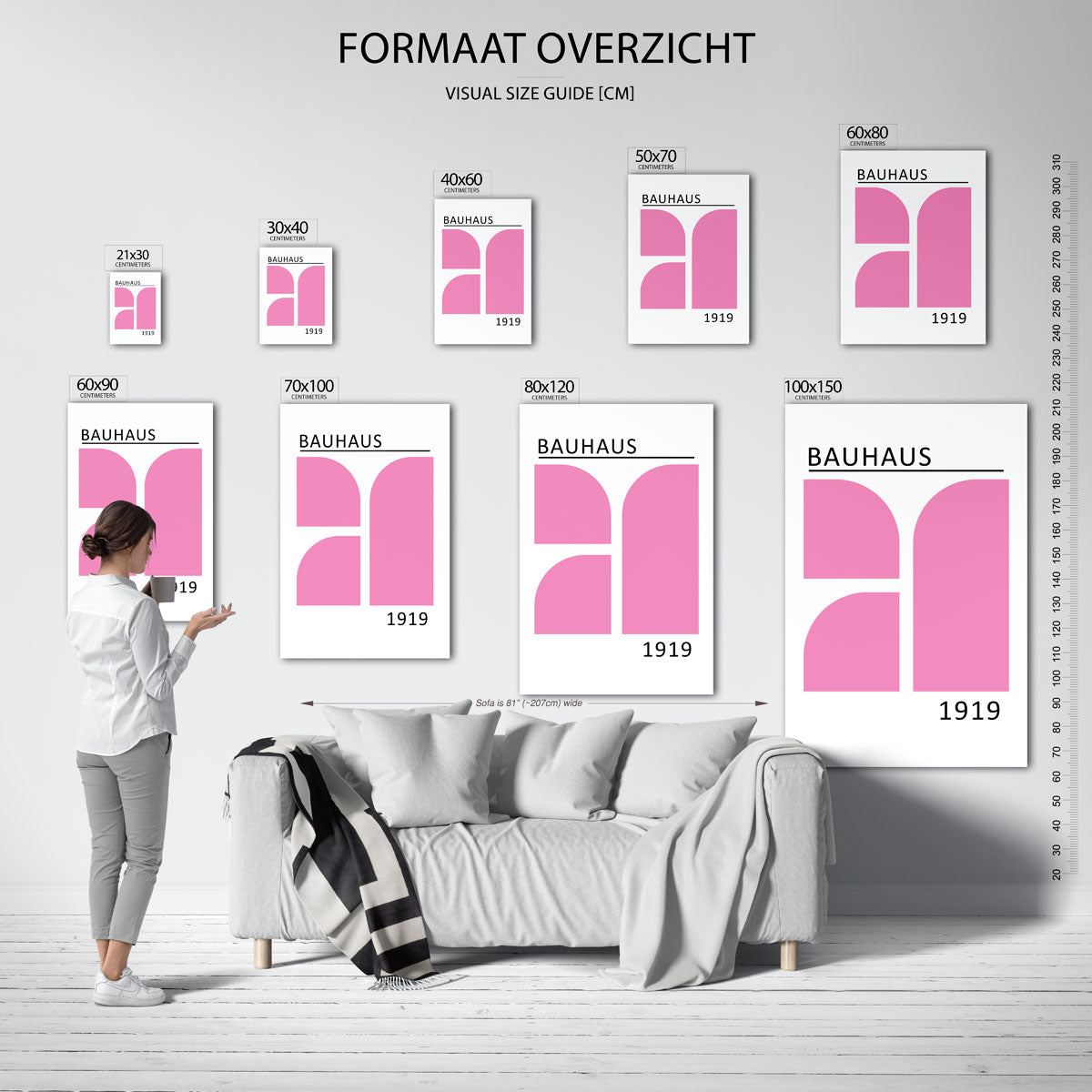 Roze vlakverdeling Poster