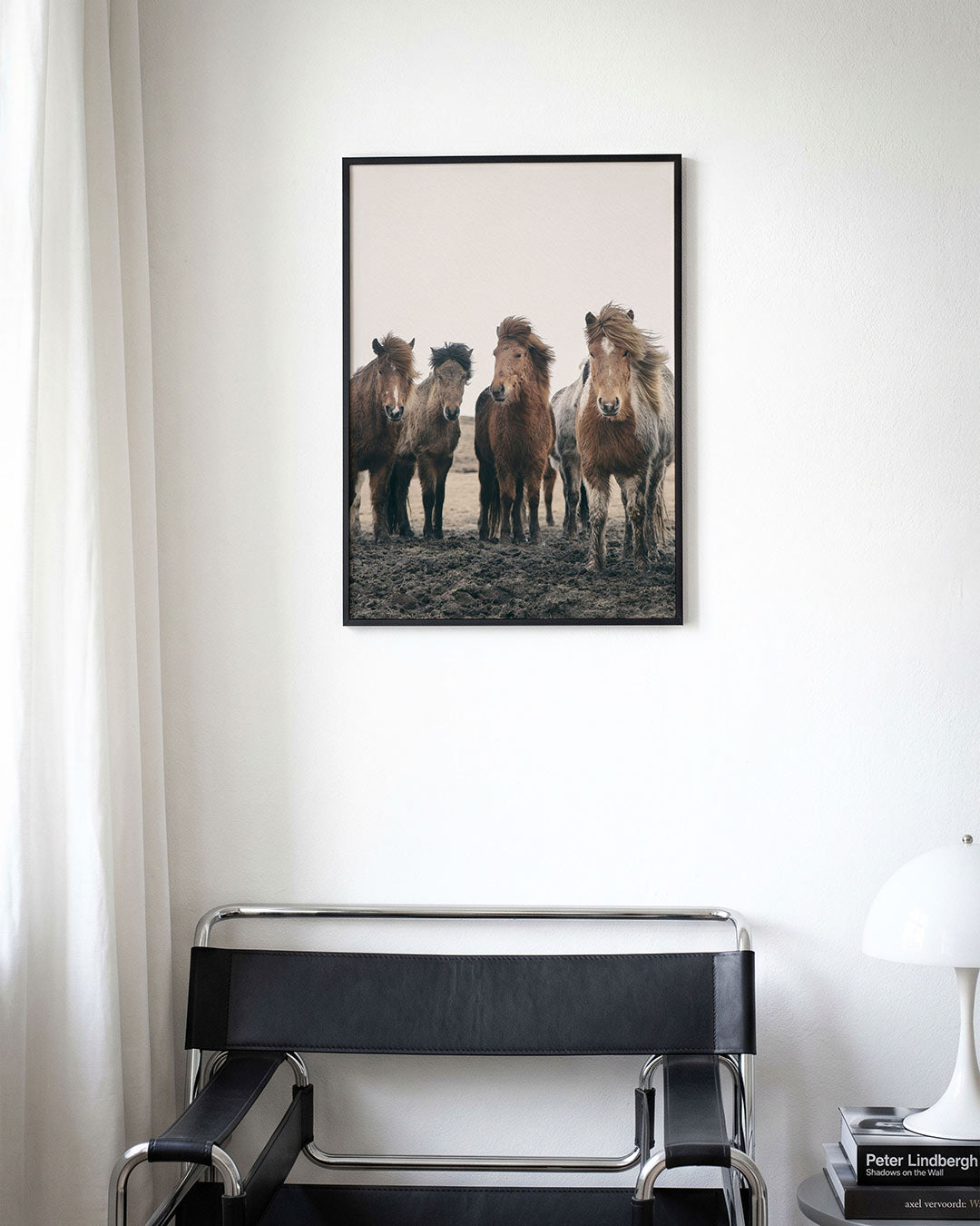 Groep paarden Poster