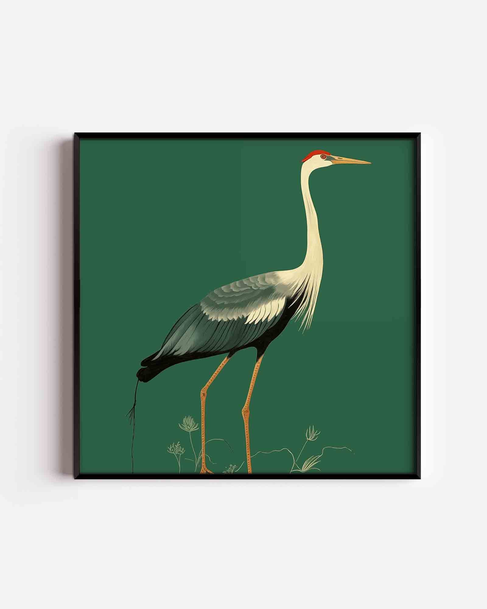 Kraanvogel op groene achtergrond Poster