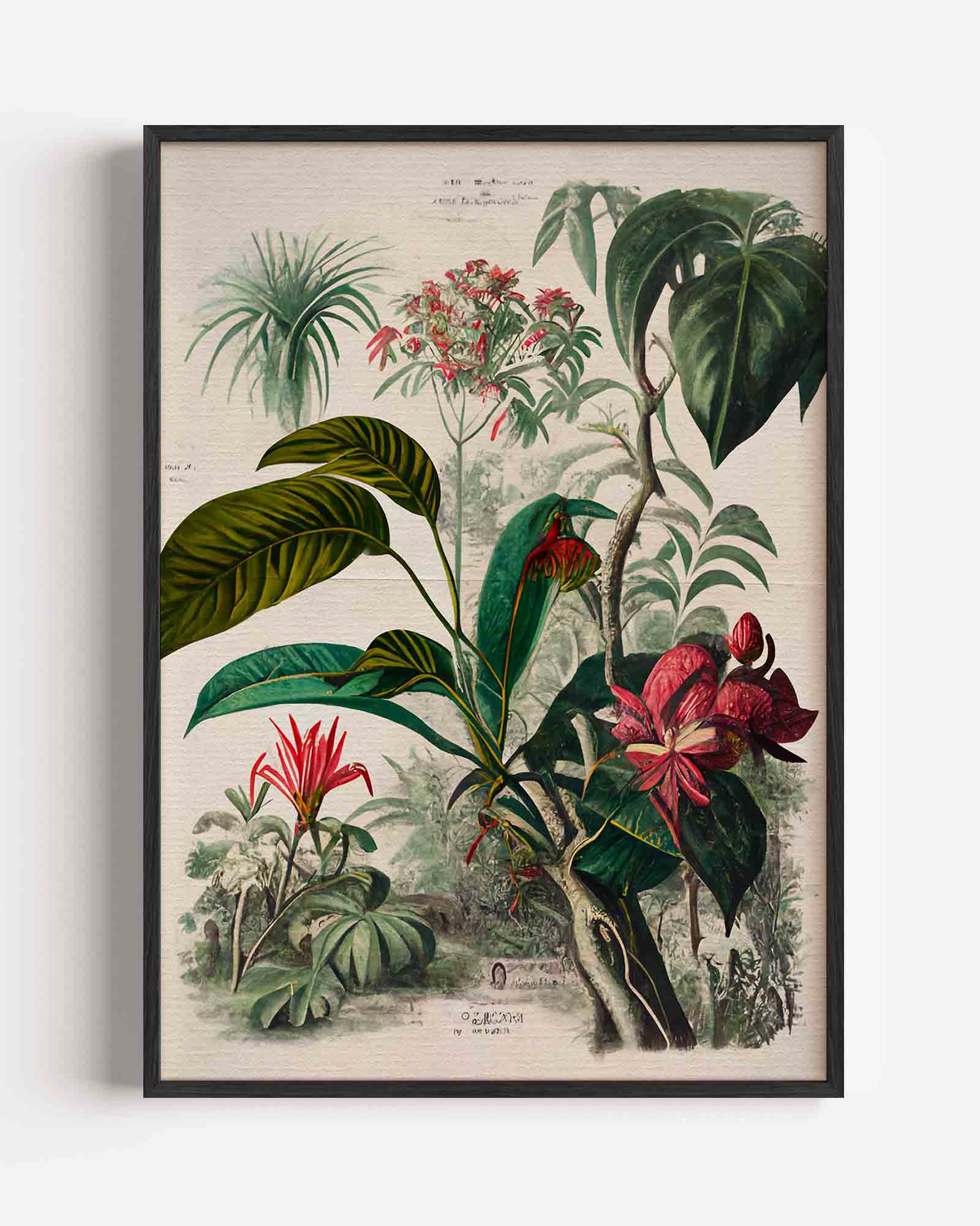Botanische bloemen Poster